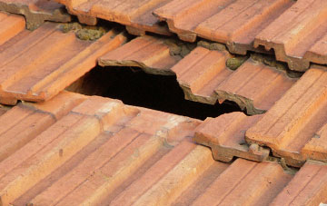 roof repair Sid, Devon