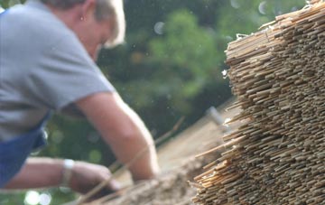 professional Sid thatchers