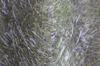 Sid fibreglass roof work